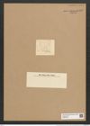 Eunotia gracilis (Ehr.) Rabh. (de-Toni-Nr.: Genus 104, Species 3144) Zeichnungen Sammlung Grunow Nr. 6445 (NHMW-BOT-W0375139)